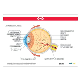 Office 1 Ученическо табло ''Око'', 100 x 70 cm
