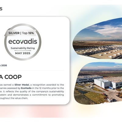 EcoVadis Silver 2025-02 (1).jpg