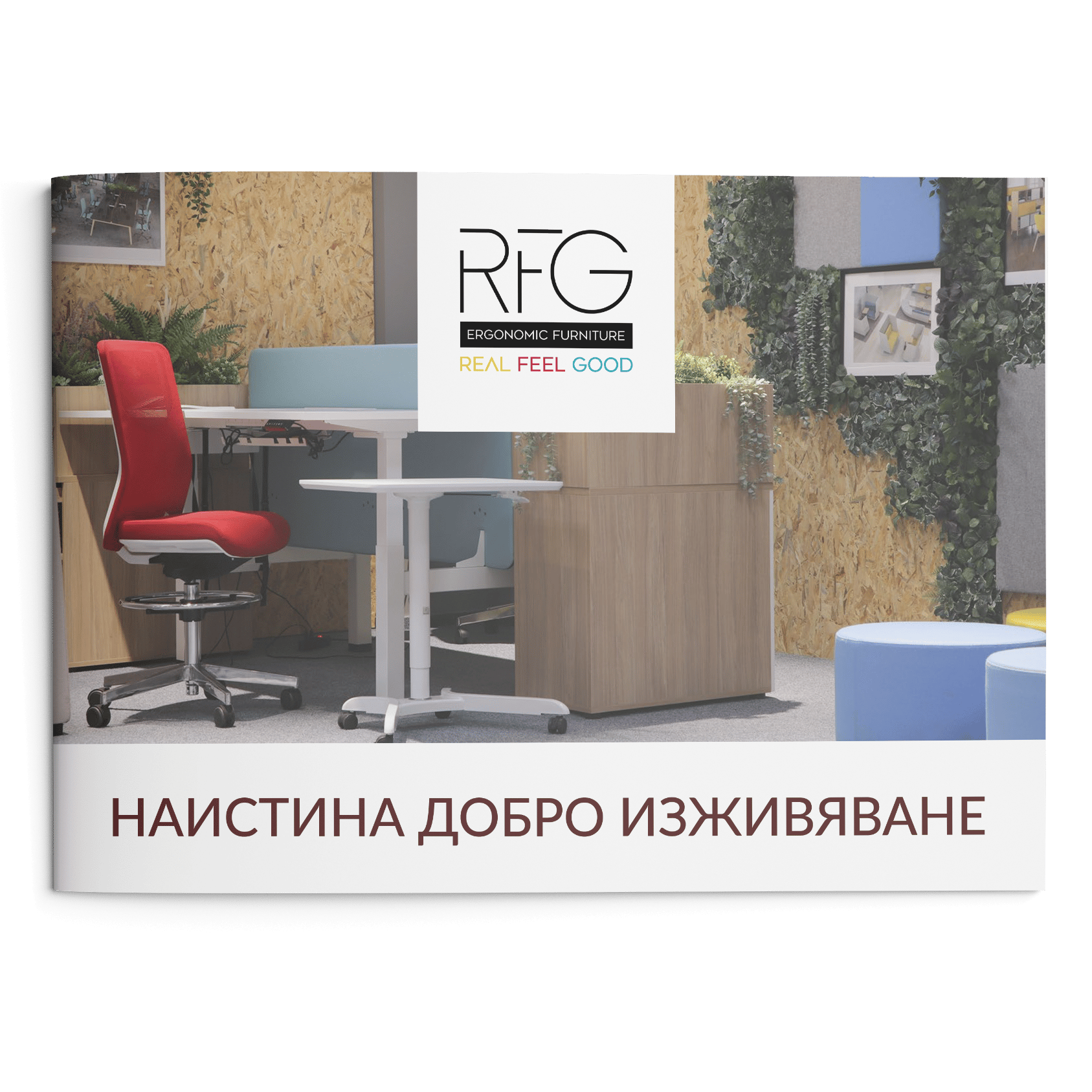 RFG Презентация